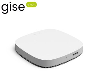 GISE Smart Bramka WiFi Zigbee | Tuya | GGT-ZB GISE