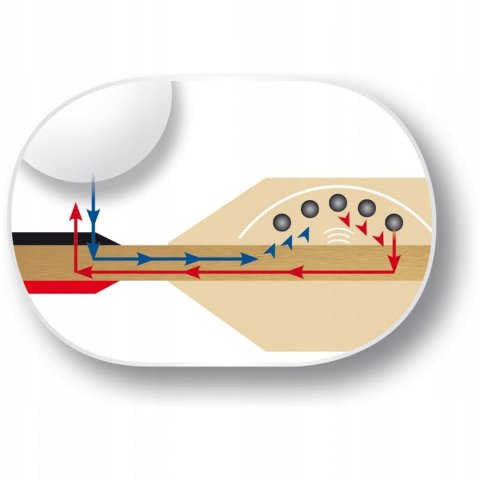 Rakietka do Tenisa Stołowego BUTTERFLY Timo Boll Black