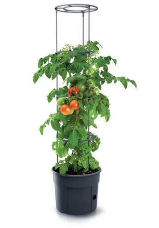 DONICZKA TOMATO GROWER - ANTRACYTOWY 28L