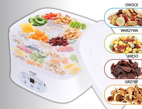 Suszarka do grzybów, ziół i żywności - dehydrator Suszarka do grzybów, ziół i żywności - dehydrator