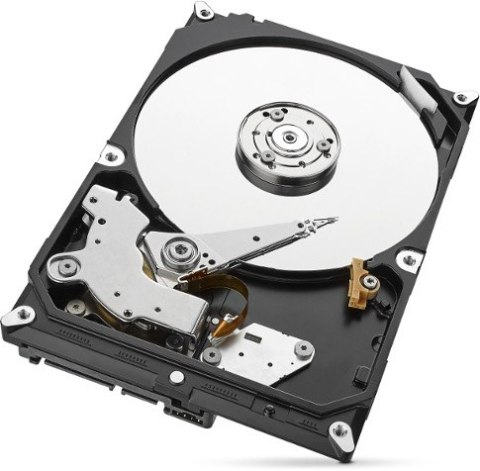 Dysk HDD Seagate SkyHawk ST1000VX013 1TB